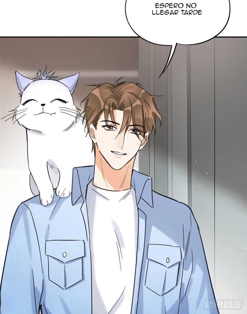 3 Tengo que trabajar duro para ser un gato hoy!