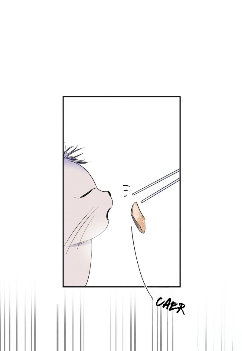 29 Tengo que trabajar duro para ser un gato hoy!