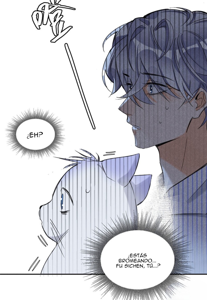 38 Tengo que trabajar duro para ser un gato hoy!