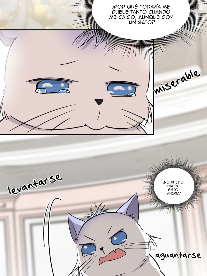 45 Tengo que trabajar duro para ser un gato hoy!