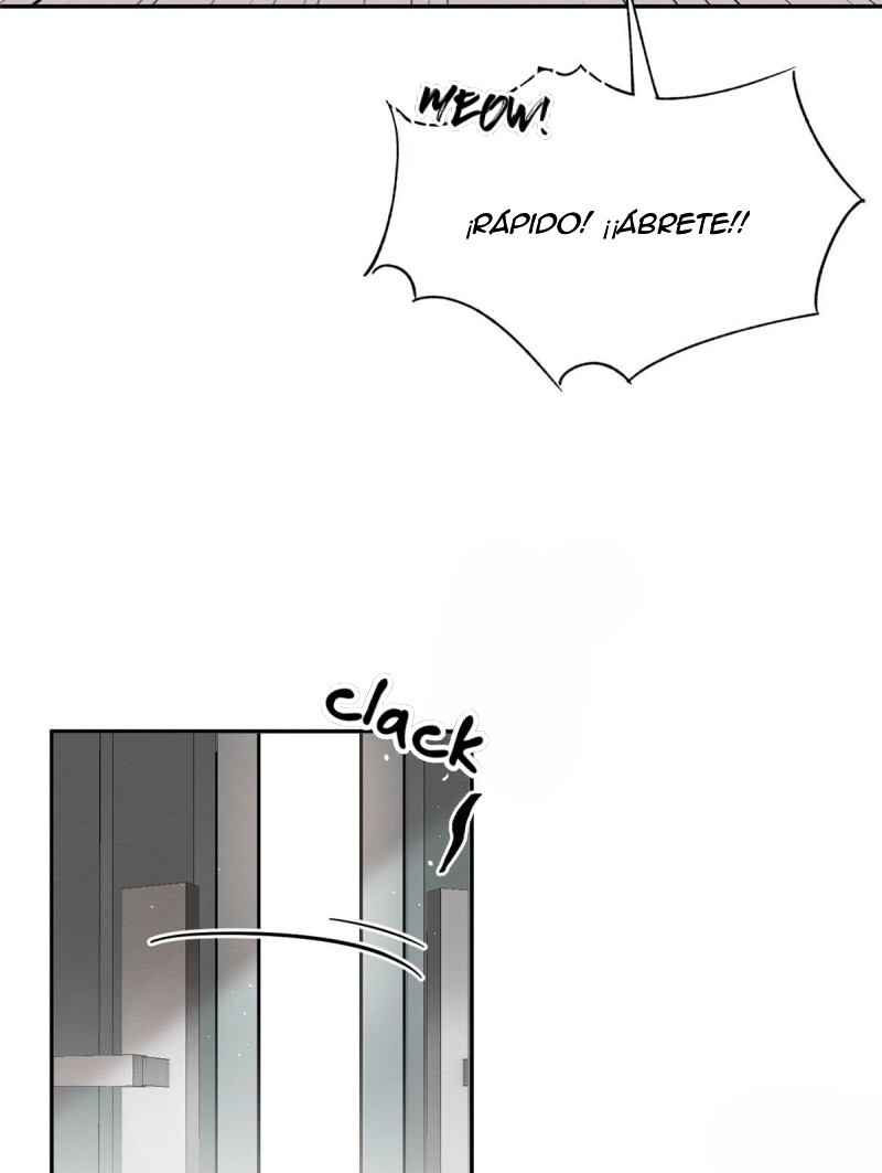 42 Tengo que trabajar duro para ser un gato hoy!