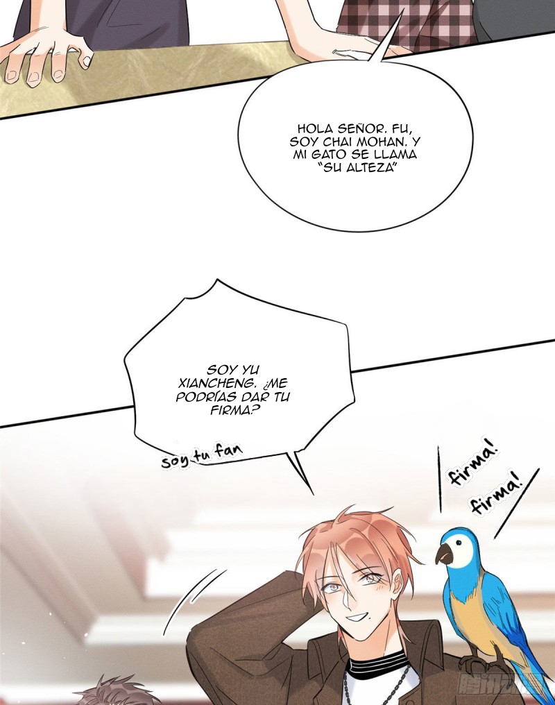 8 Tengo que trabajar duro para ser un gato hoy!