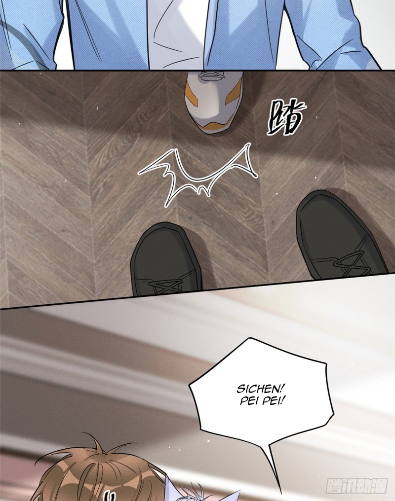 4 Tengo que trabajar duro para ser un gato hoy!