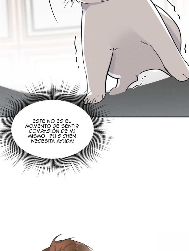 46 Tengo que trabajar duro para ser un gato hoy!