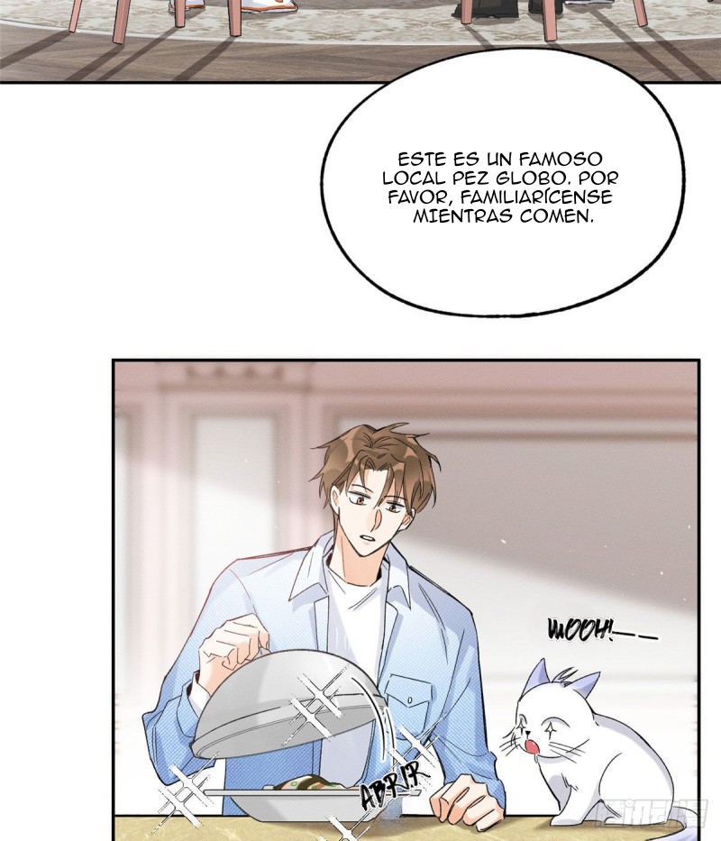 20 Tengo que trabajar duro para ser un gato hoy!