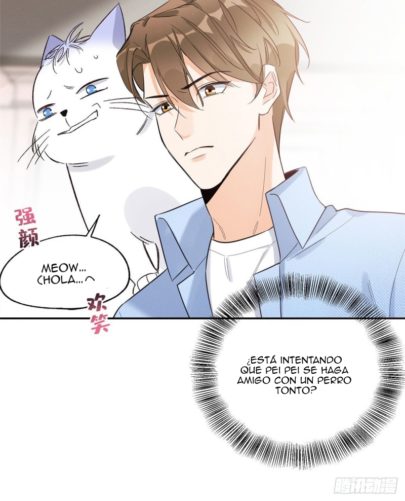 15 Tengo que trabajar duro para ser un gato hoy!