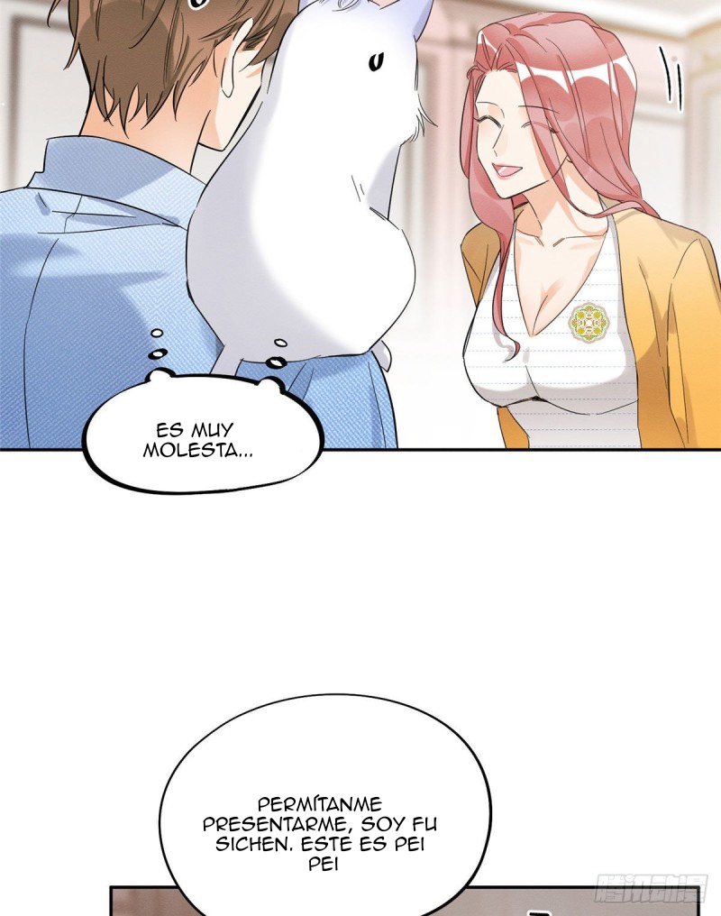 5 Tengo que trabajar duro para ser un gato hoy!