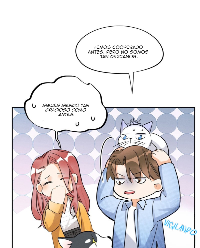 16 Tengo que trabajar duro para ser un gato hoy!