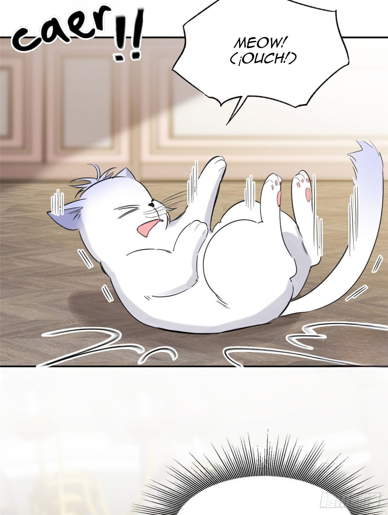 44 Tengo que trabajar duro para ser un gato hoy!