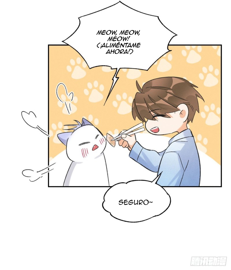 28 Tengo que trabajar duro para ser un gato hoy!