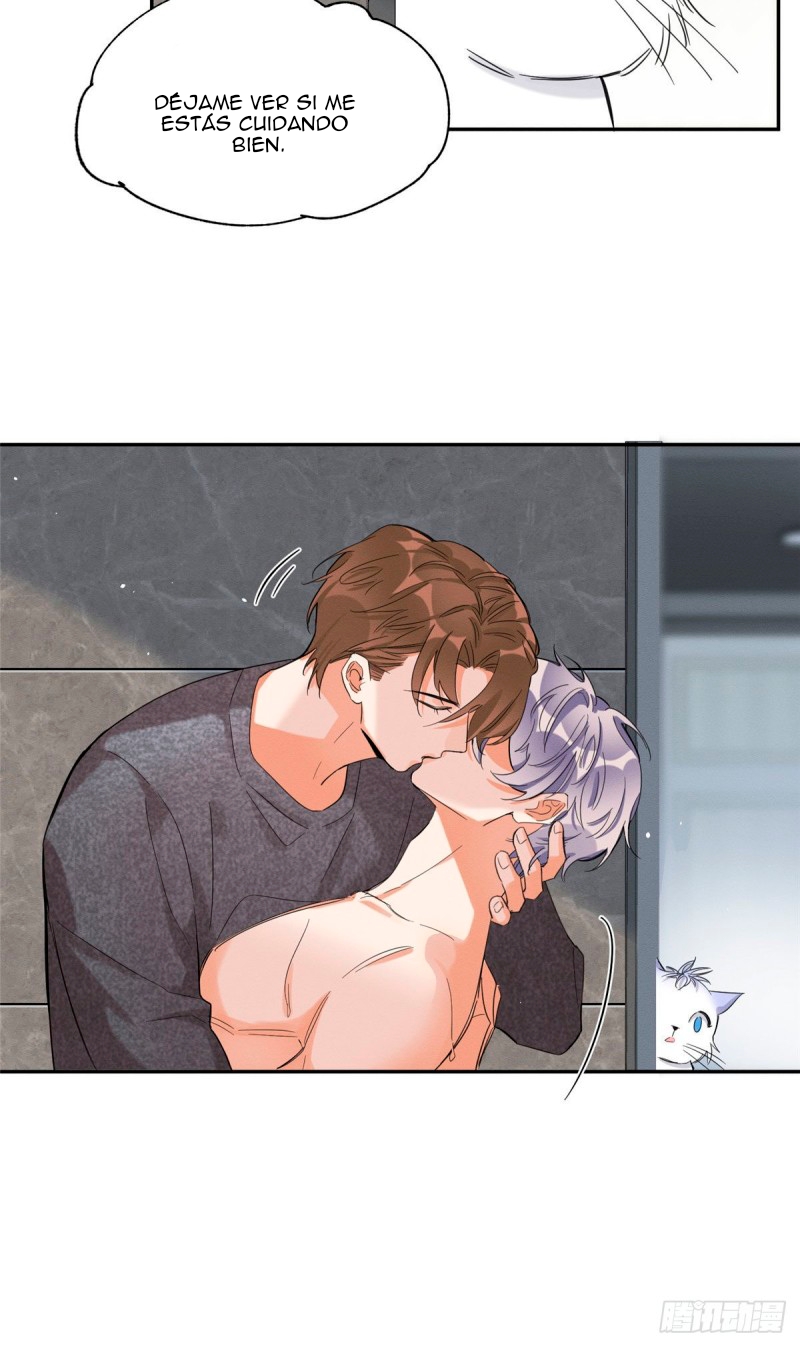 25 Tengo que trabajar duro para ser un gato hoy!