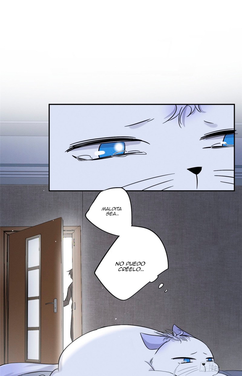 33 Tengo que trabajar duro para ser un gato hoy!