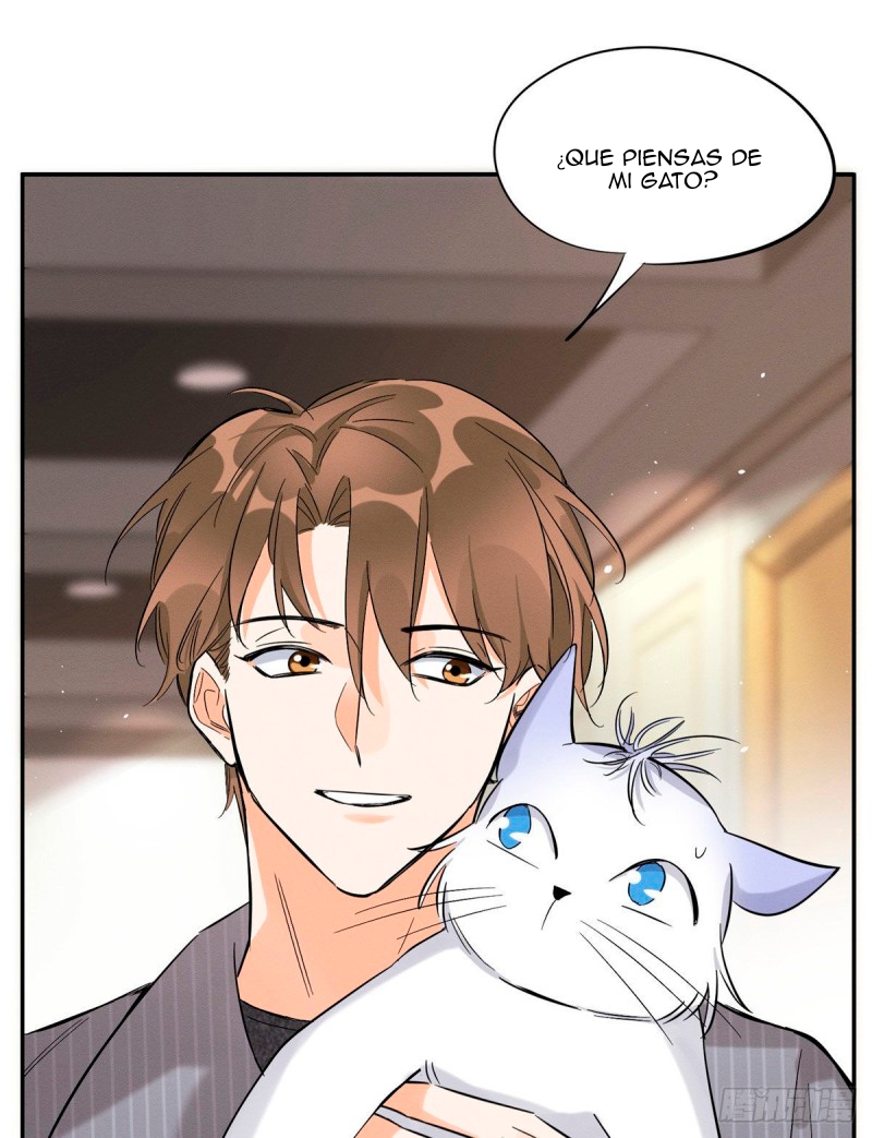 0 Tengo que trabajar duro para ser un gato hoy!