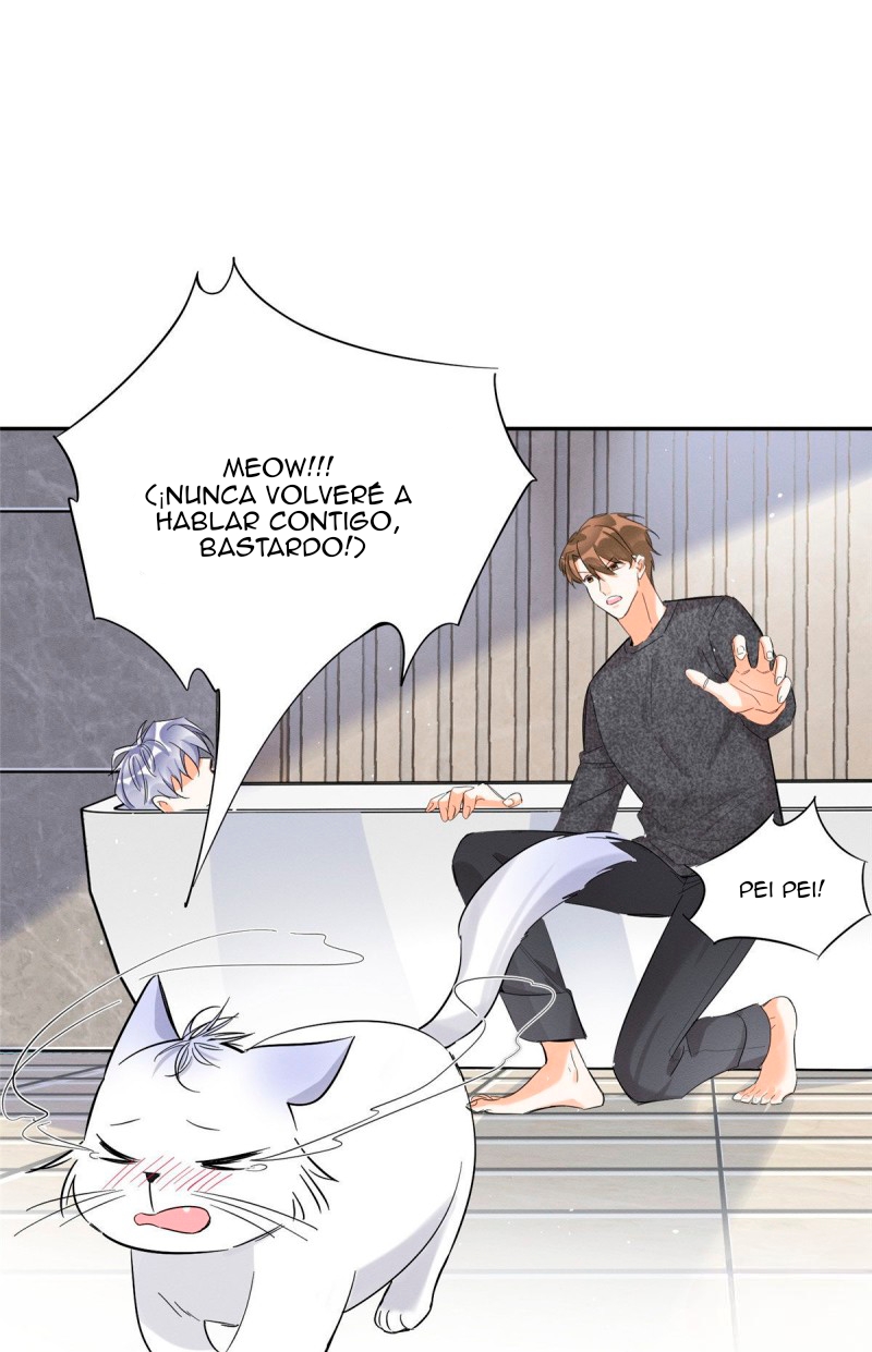 31 Tengo que trabajar duro para ser un gato hoy!