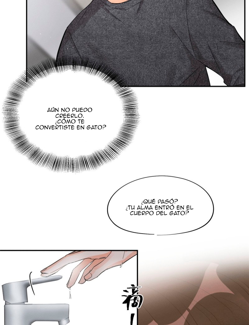 17 Tengo que trabajar duro para ser un gato hoy!