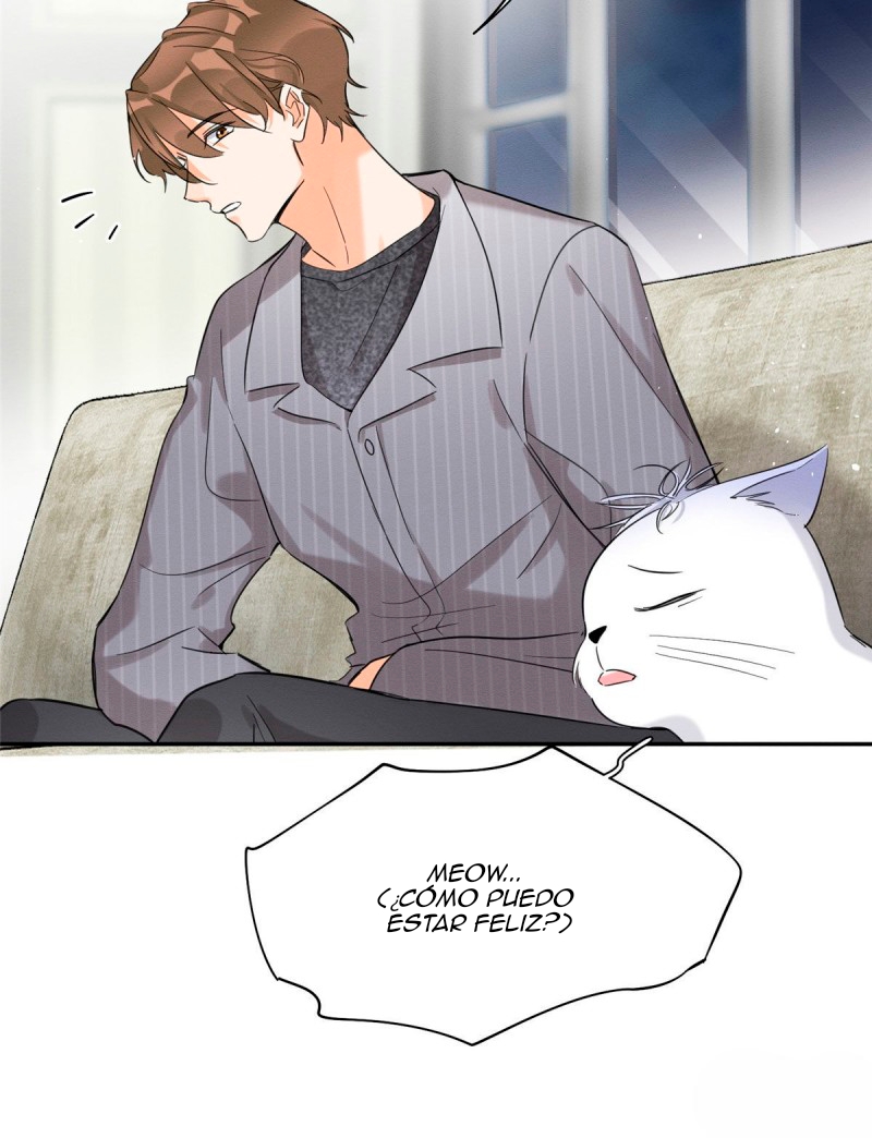 12 Tengo que trabajar duro para ser un gato hoy!