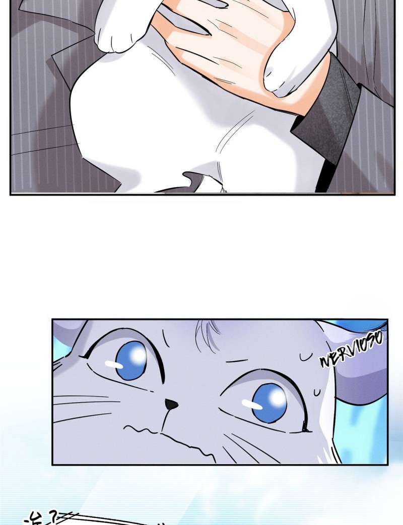 1 Tengo que trabajar duro para ser un gato hoy!