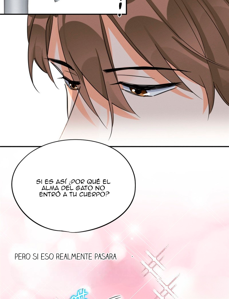 18 Tengo que trabajar duro para ser un gato hoy!