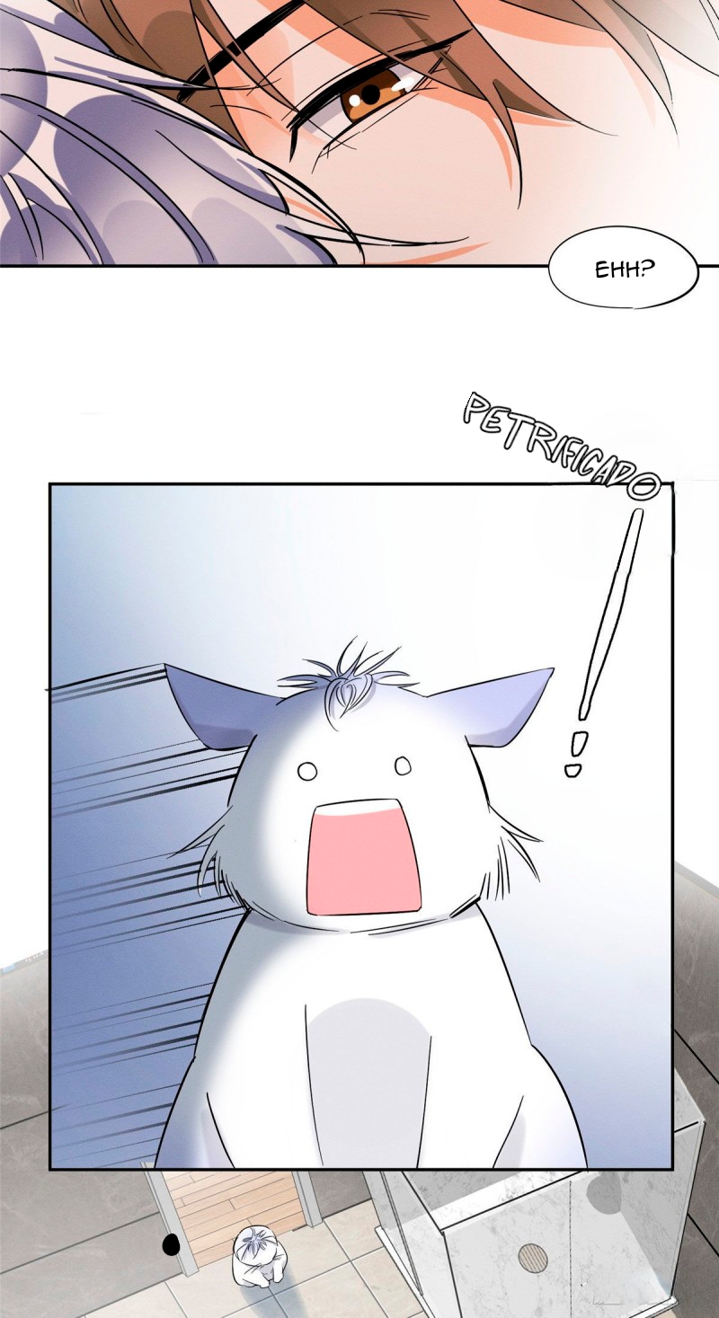 27 Tengo que trabajar duro para ser un gato hoy!