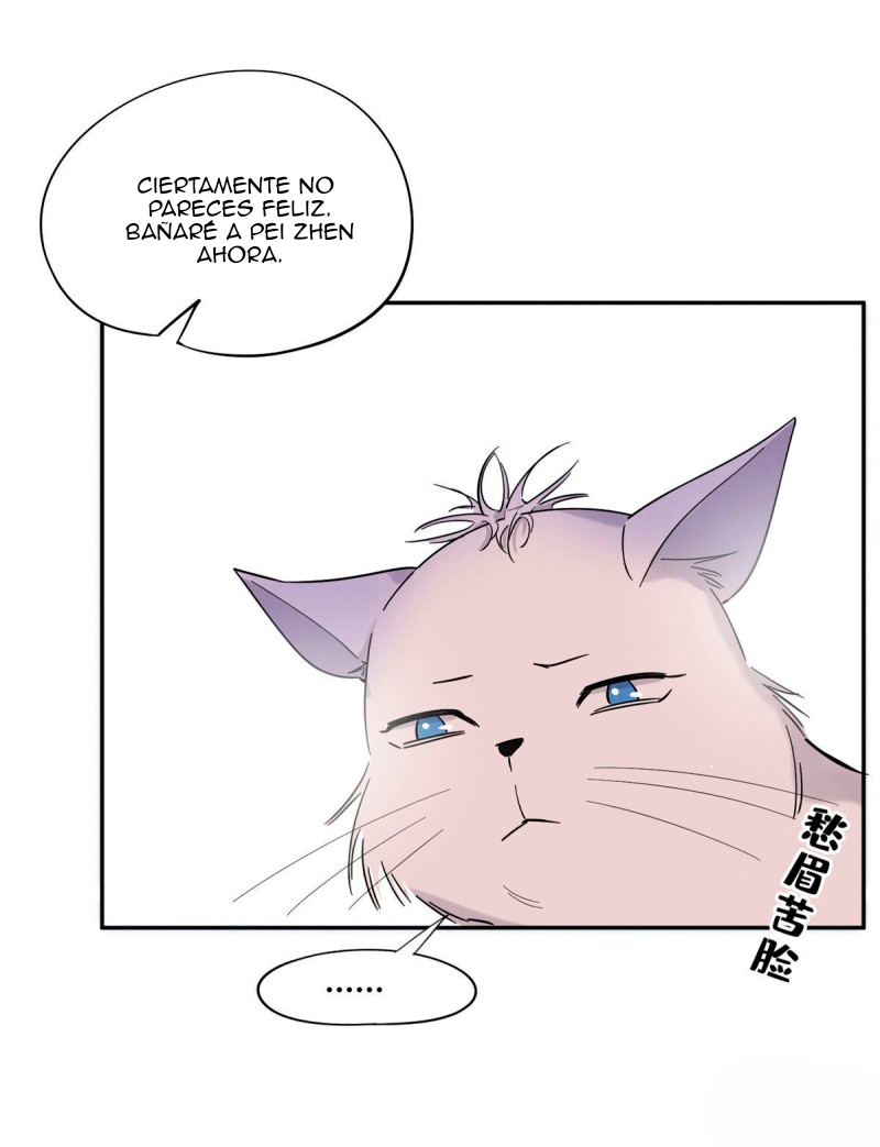 13 Tengo que trabajar duro para ser un gato hoy!