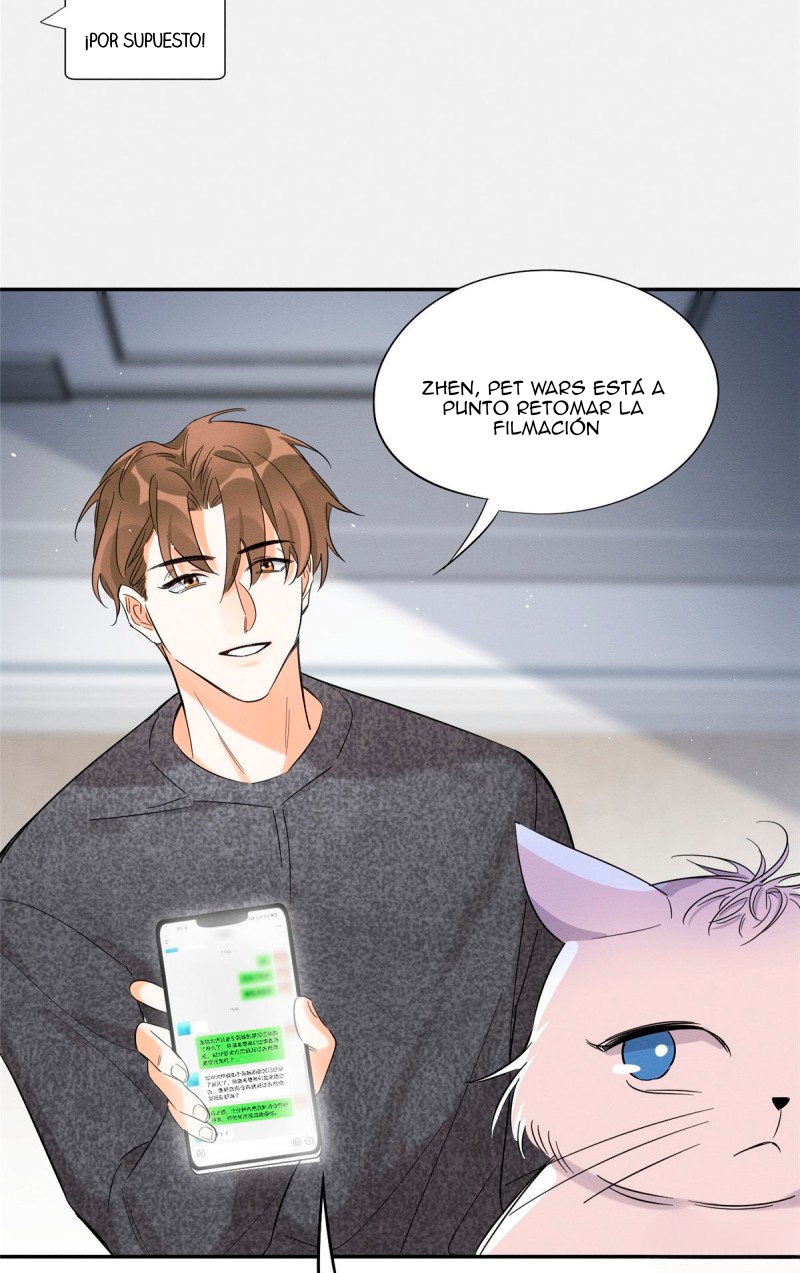 39 Tengo que trabajar duro para ser un gato hoy!