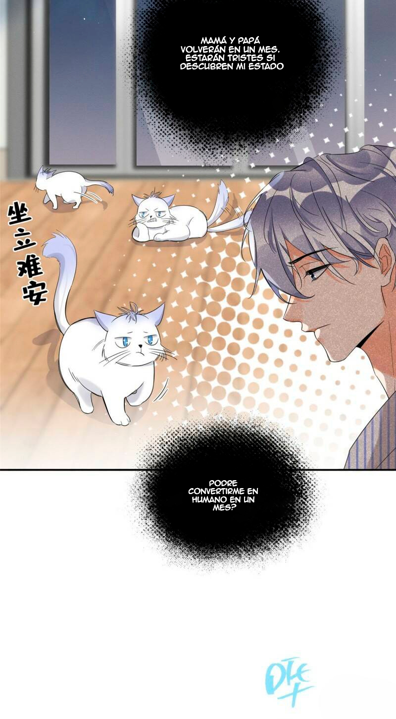 23 Tengo que trabajar duro para ser un gato hoy!