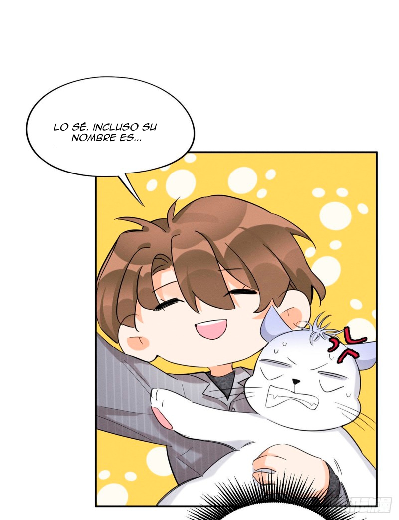 4 Tengo que trabajar duro para ser un gato hoy!