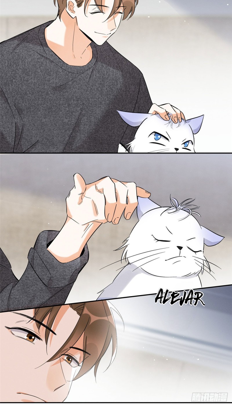 36 Tengo que trabajar duro para ser un gato hoy!