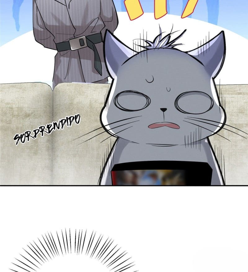 9 Tengo que trabajar duro para ser un gato hoy!