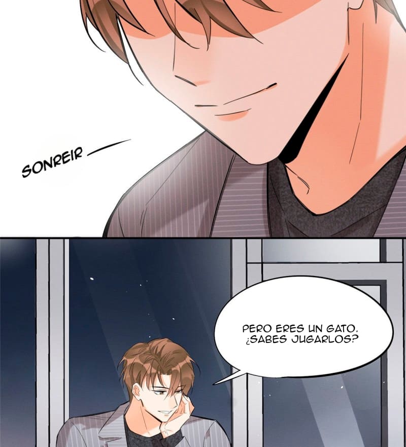 11 Tengo que trabajar duro para ser un gato hoy!