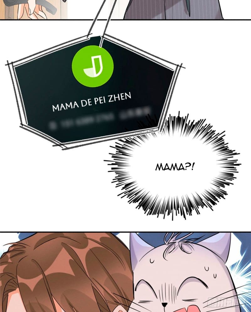 27 Tengo que trabajar duro para ser un gato hoy!