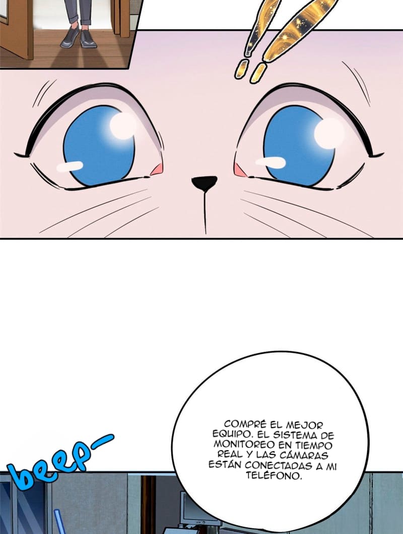 19 Tengo que trabajar duro para ser un gato hoy!