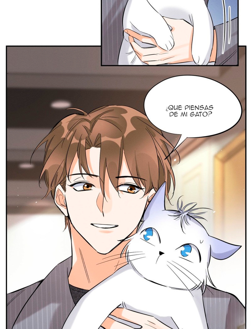 36 Tengo que trabajar duro para ser un gato hoy!