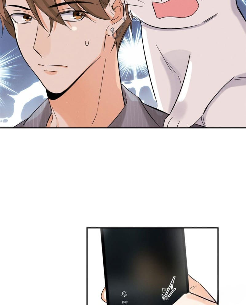 28 Tengo que trabajar duro para ser un gato hoy!