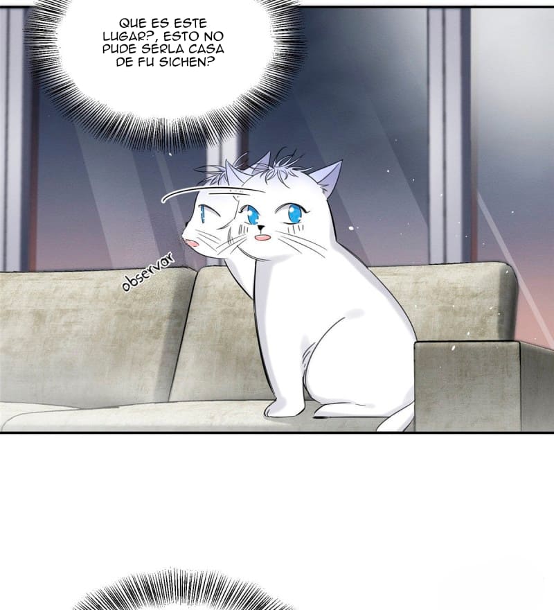 6 Tengo que trabajar duro para ser un gato hoy!