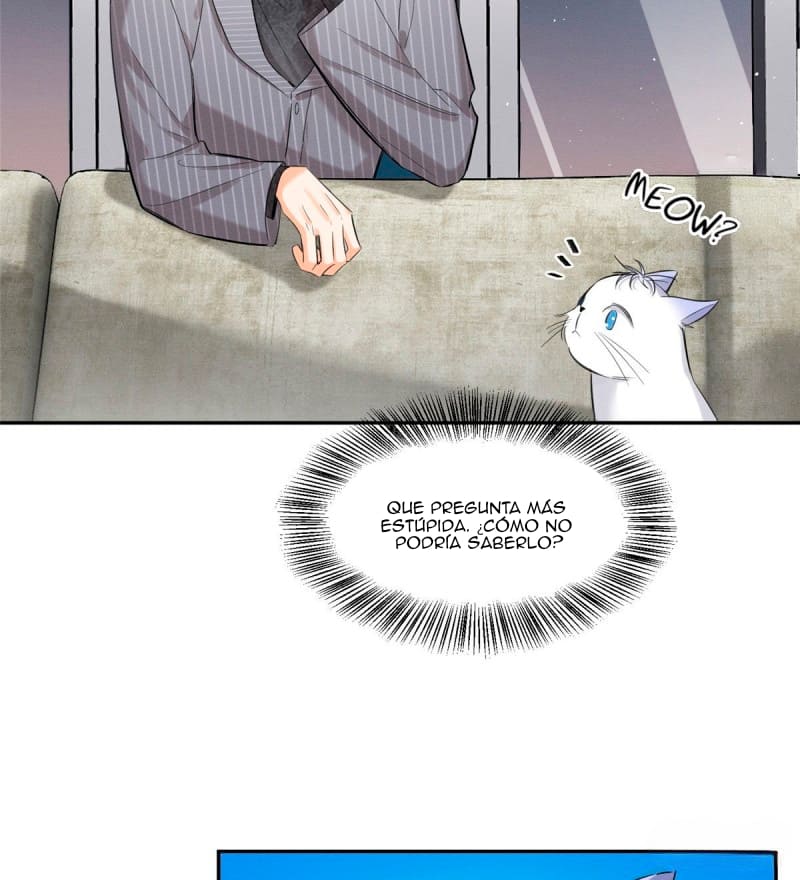 12 Tengo que trabajar duro para ser un gato hoy!