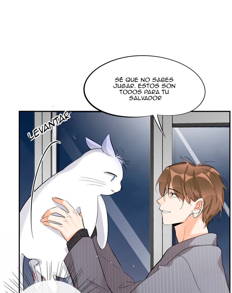 16 Tengo que trabajar duro para ser un gato hoy!