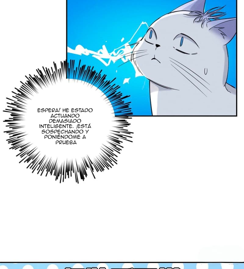 13 Tengo que trabajar duro para ser un gato hoy!