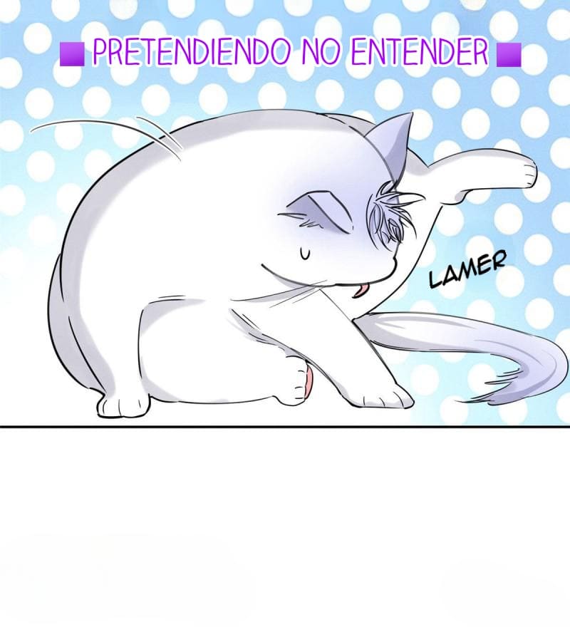 14 Tengo que trabajar duro para ser un gato hoy!