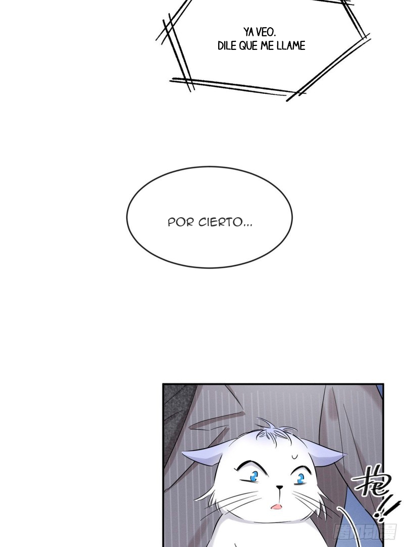 35 Tengo que trabajar duro para ser un gato hoy!