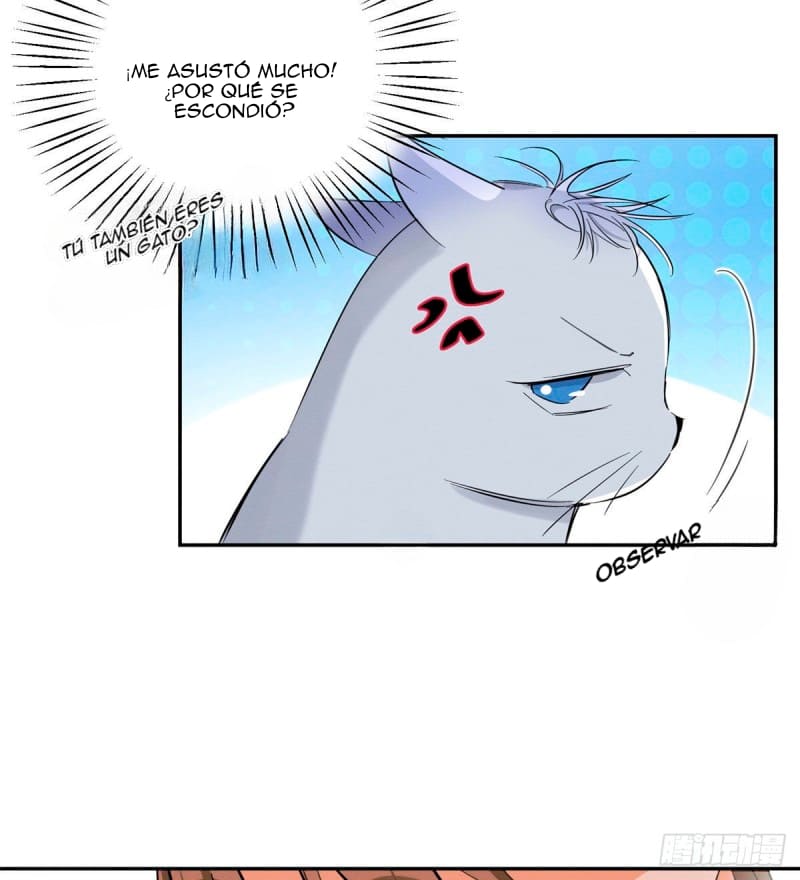 10 Tengo que trabajar duro para ser un gato hoy!