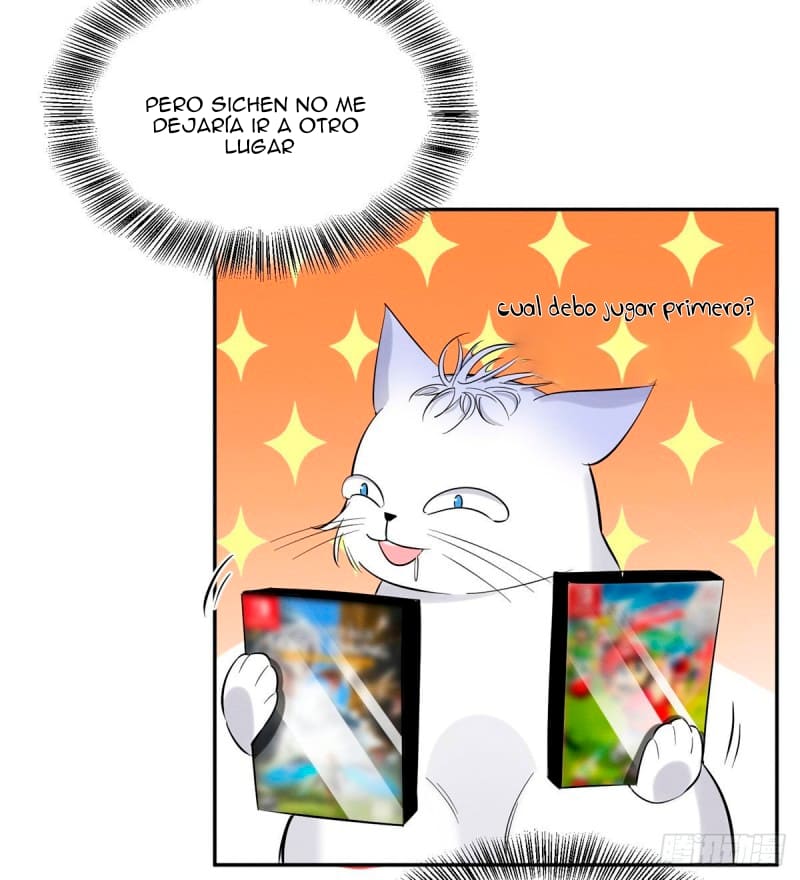 7 Tengo que trabajar duro para ser un gato hoy!