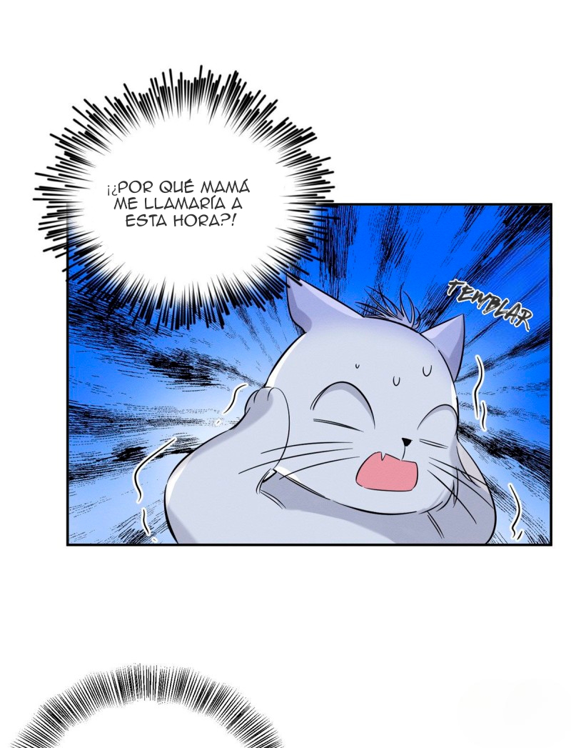 32 Tengo que trabajar duro para ser un gato hoy!