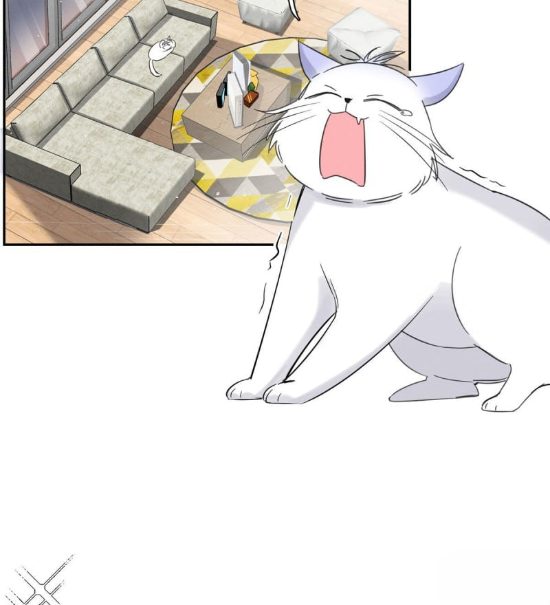 2 Tengo que trabajar duro para ser un gato hoy!