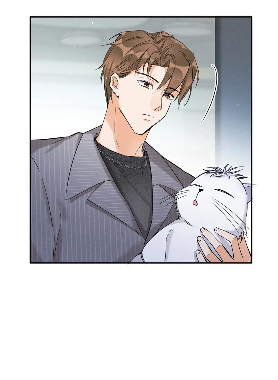 8 Tengo que trabajar duro para ser un gato hoy!