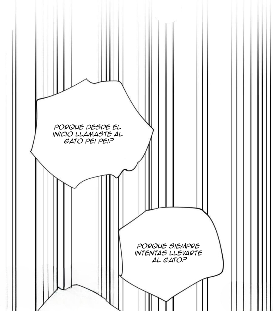 31 Tengo que trabajar duro para ser un gato hoy!