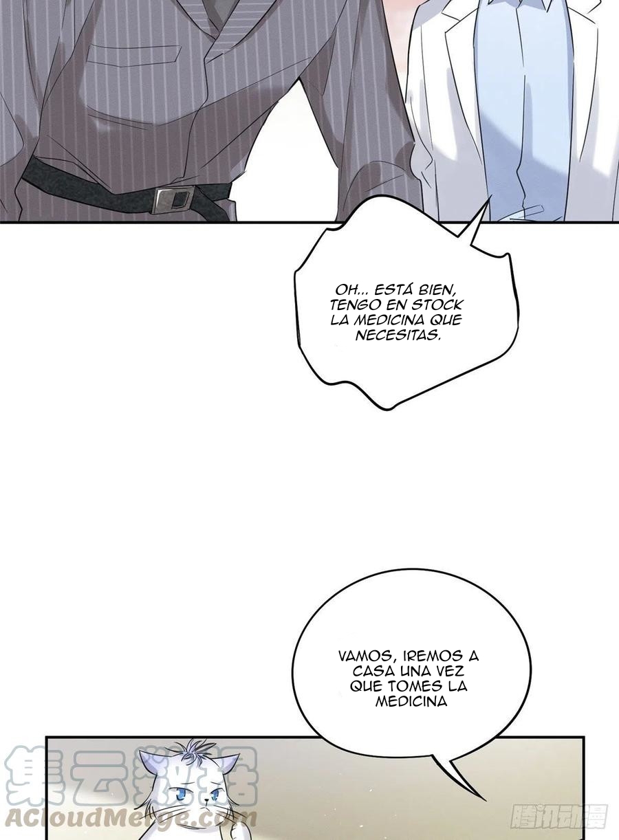 3 Tengo que trabajar duro para ser un gato hoy!