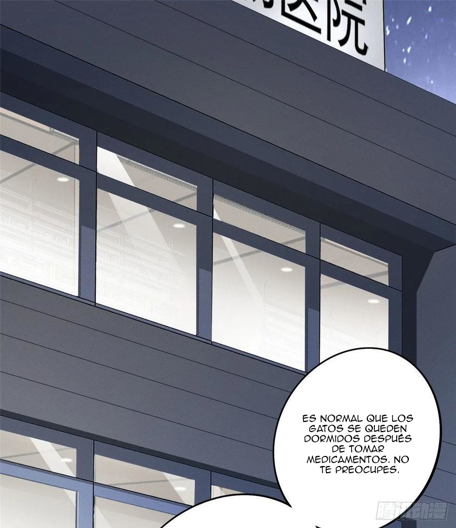 6 Tengo que trabajar duro para ser un gato hoy!