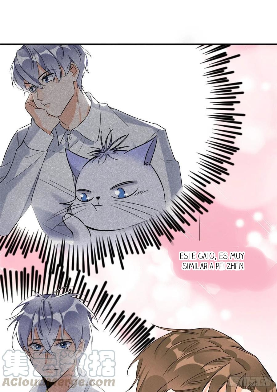 9 Tengo que trabajar duro para ser un gato hoy!