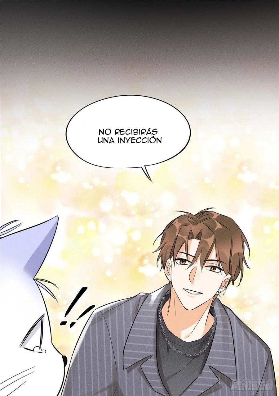 0 Tengo que trabajar duro para ser un gato hoy!